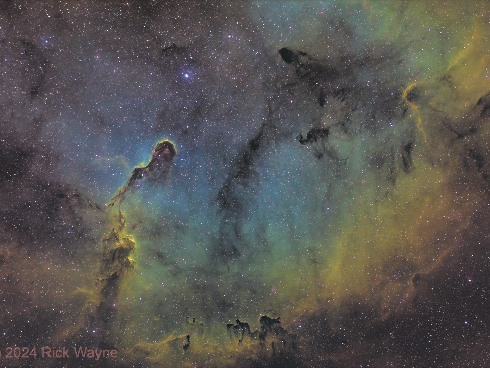AP_Elephants_Trunk_Nebula_IC1396_Rick_Wayne
