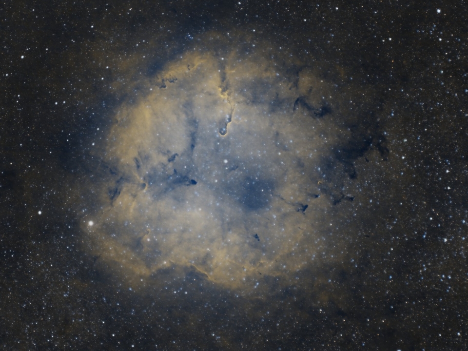 AP_Elephants_Trunk_Nebula_IC_1396_Daniel_Bush